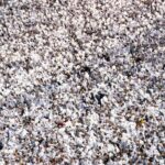 Penn State, white-out, fans