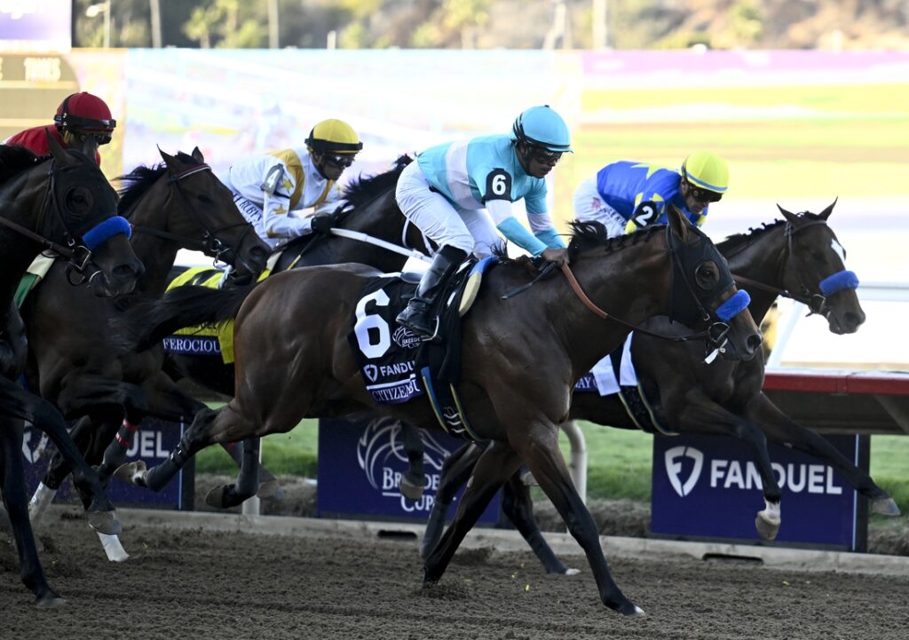 Breeders' Cup, Citizen Bull