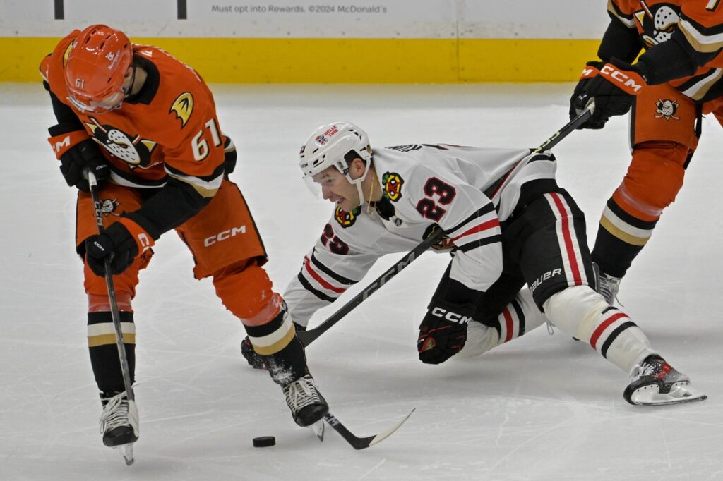 ducks, blackhawks