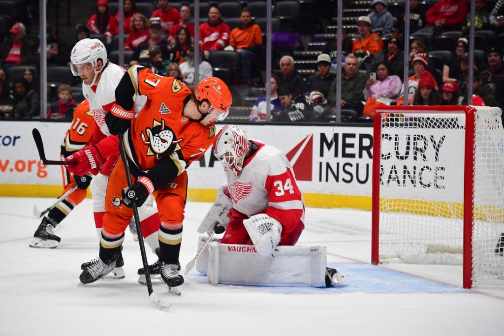 Ducks, Red Wings