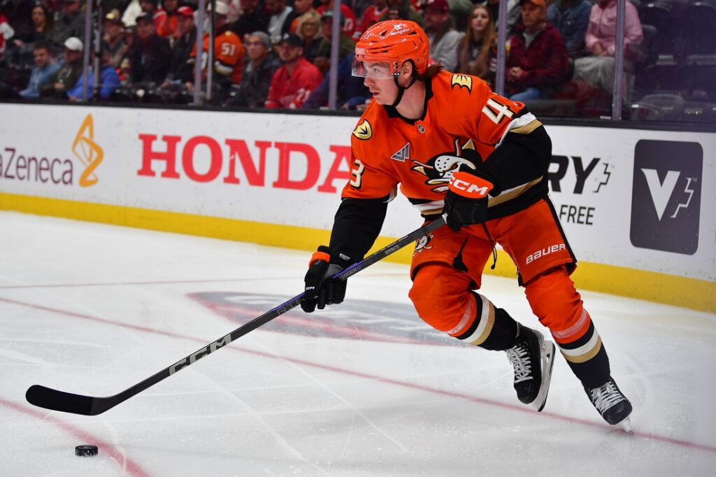anaheim ducks