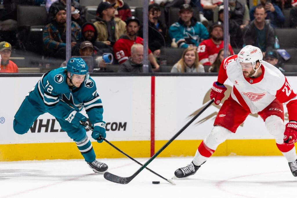 Red Wings Sharks