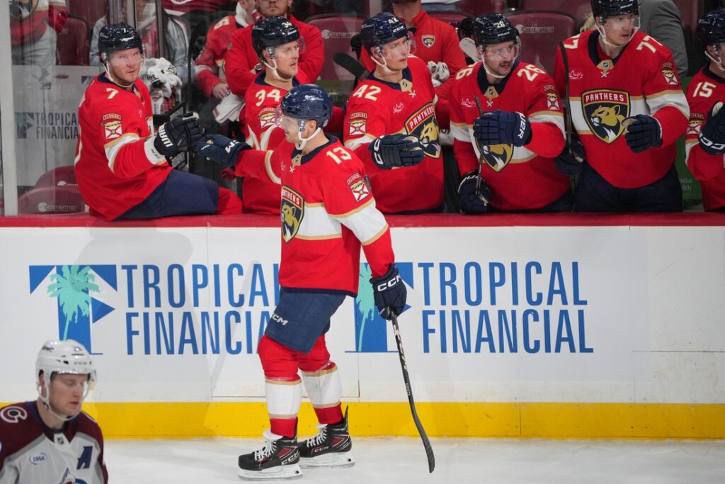 florida Panthers
