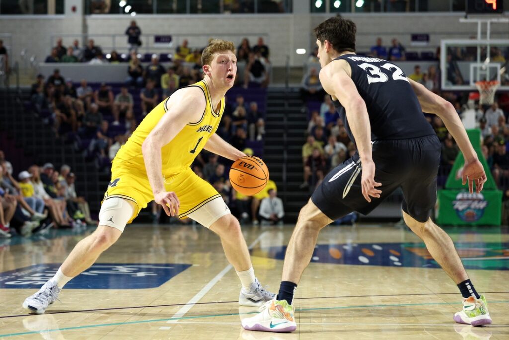 michigan wolverines