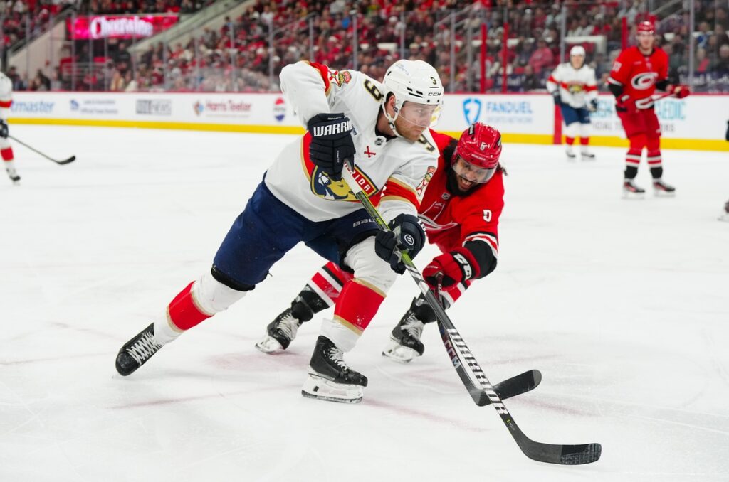 Hurricanes, Panthers