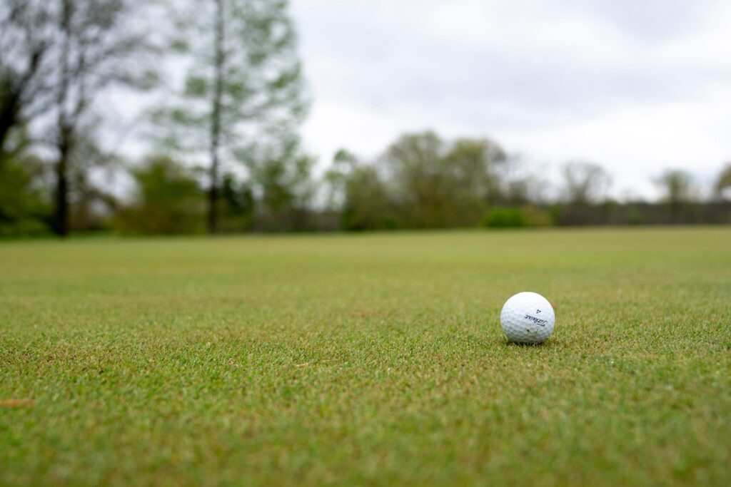 golf ball, grass, view