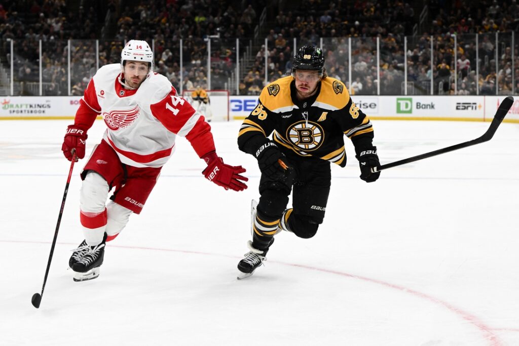 Bruins