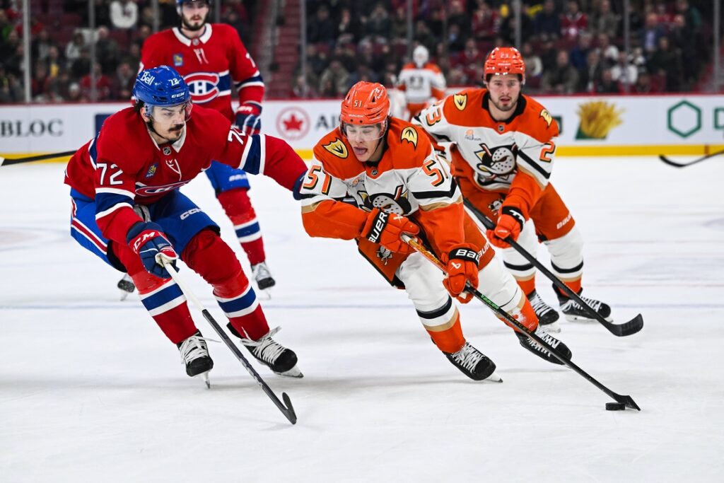 Ducks, Canadiens