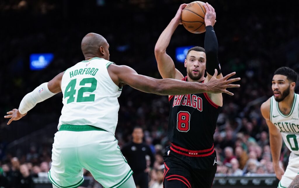 bulls