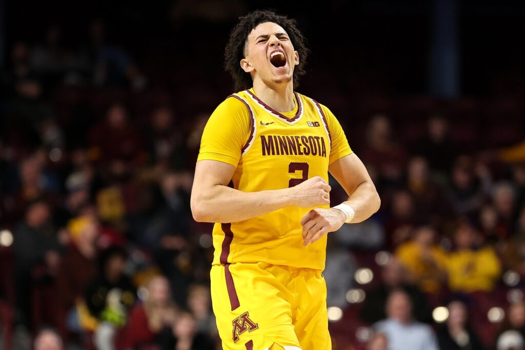 minnesota mike mitchell