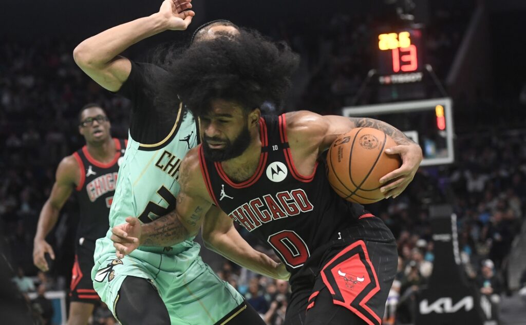 coby white bulls