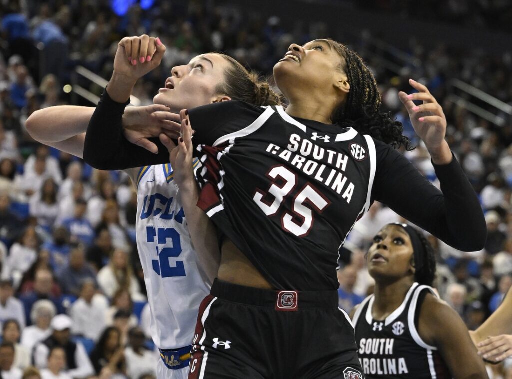 bruins gamecocks women's basketball