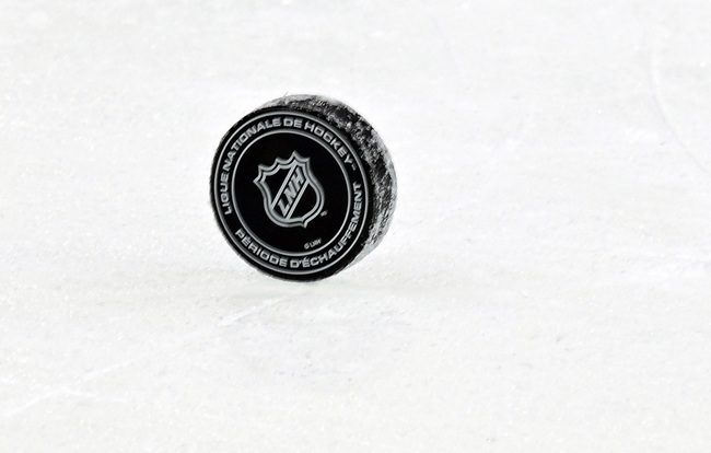 utah hockey club, logo