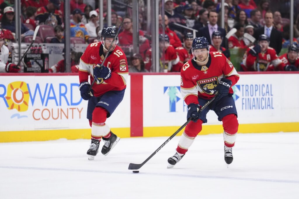 florida panthers