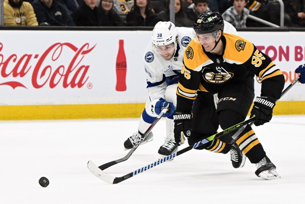 bruins
