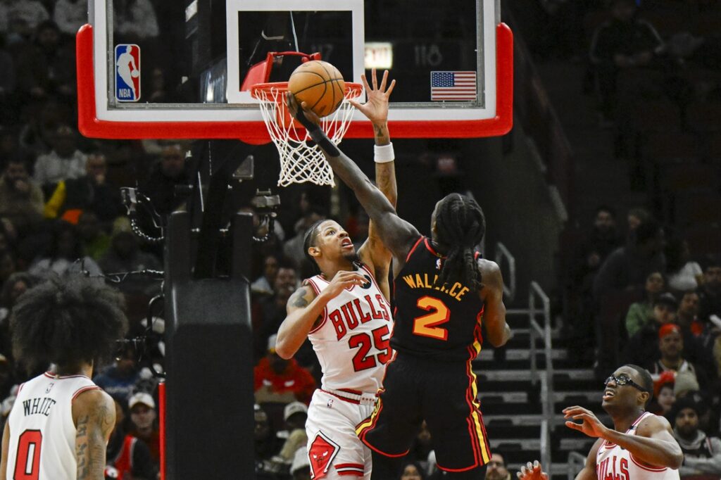 Hawks, Bulls