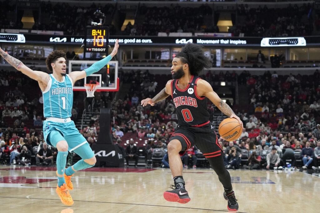 Hornets, Bulls