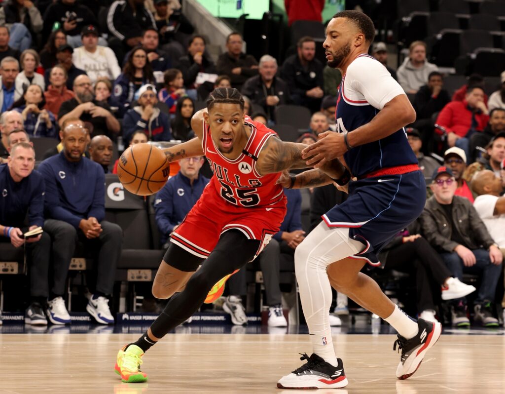 bulls