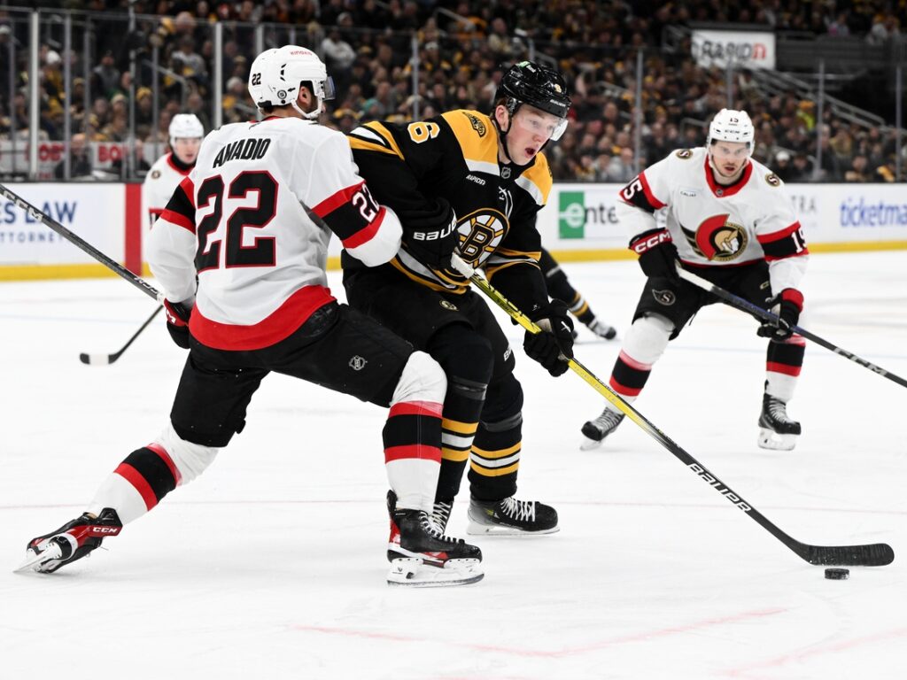 bruins