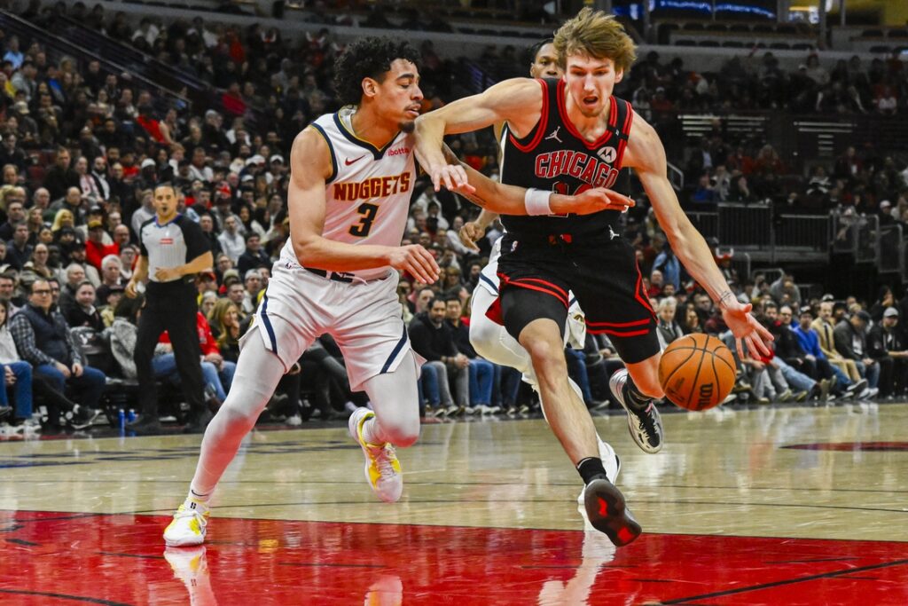 bulls