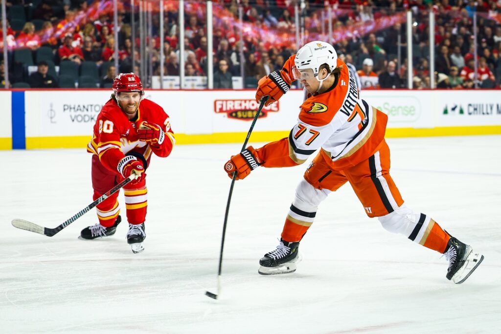 ducks flames