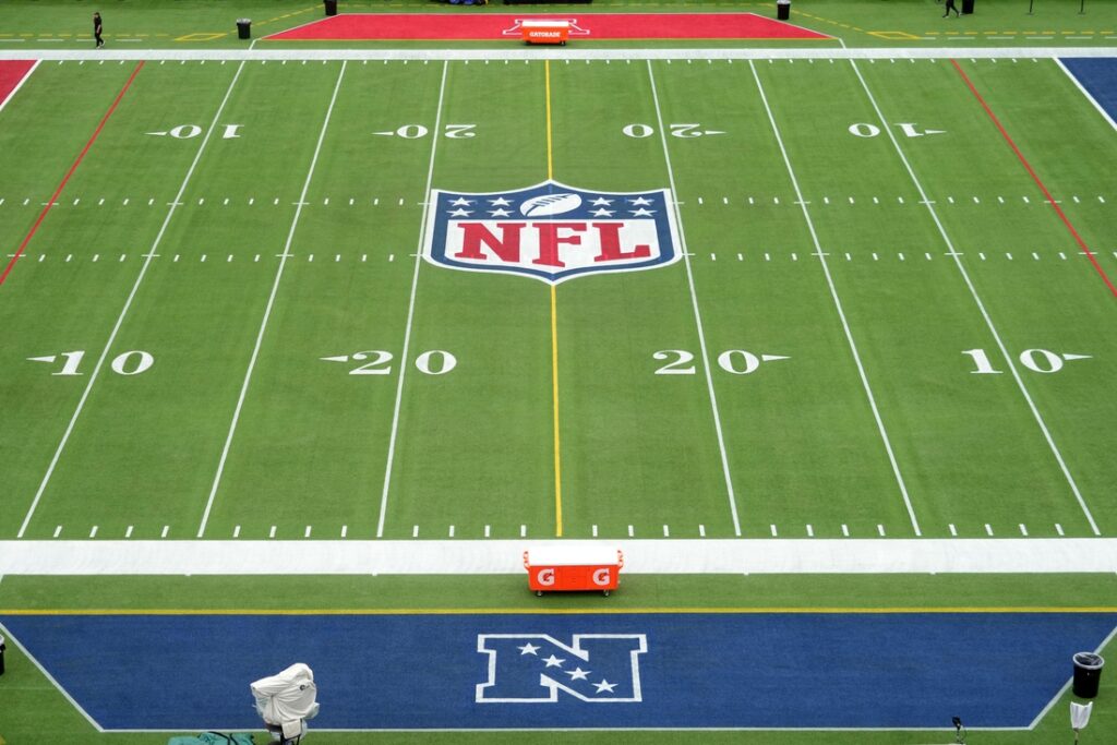nfl shield general view