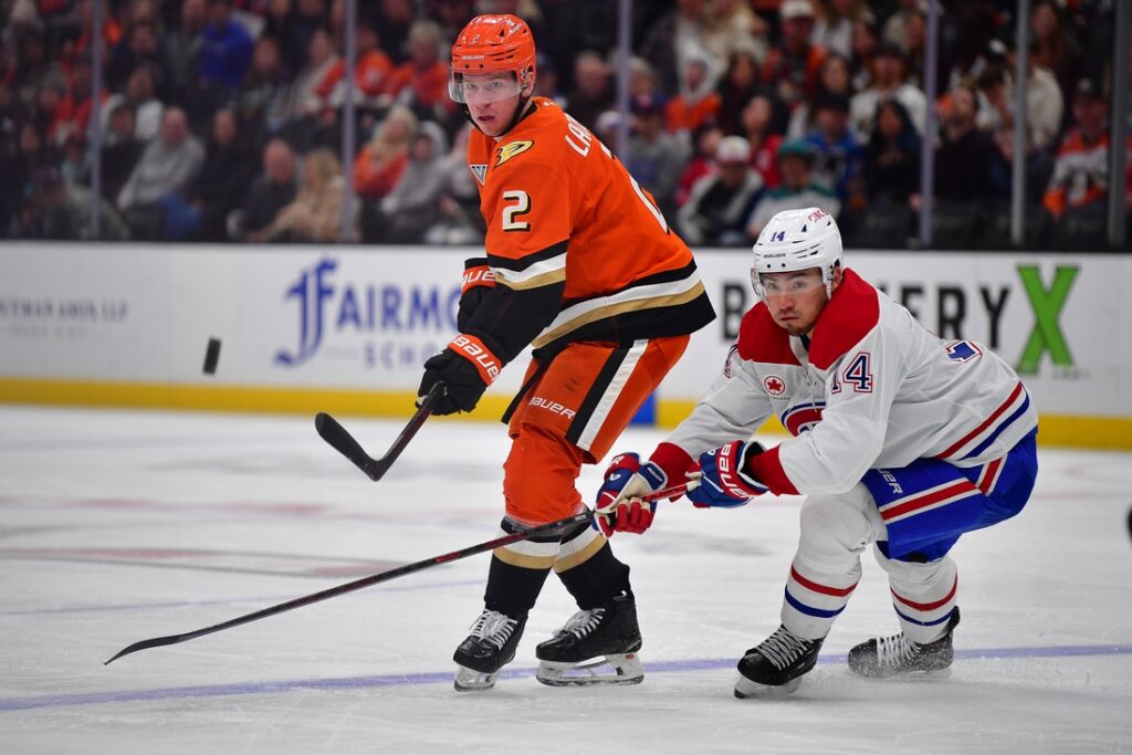 anaheim ducks