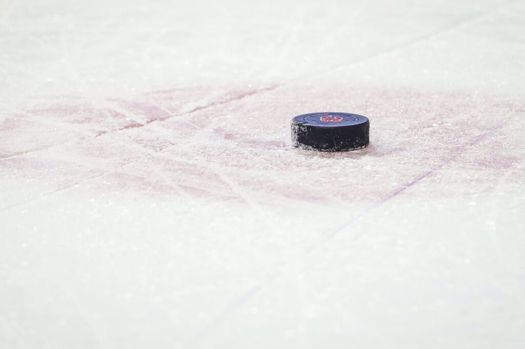 hockey puck general view