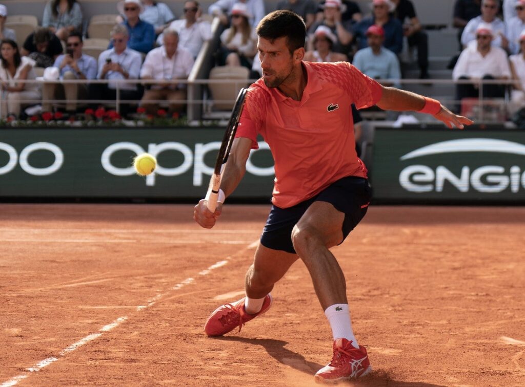 novak djokovic paris semifinal