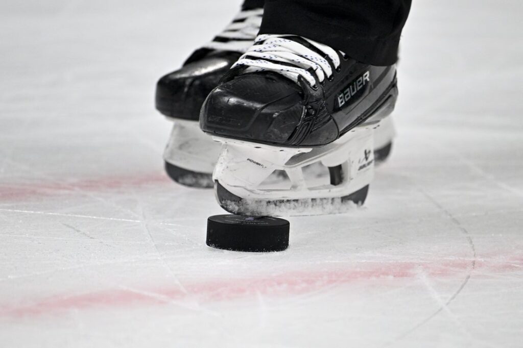 hockey, puck, view