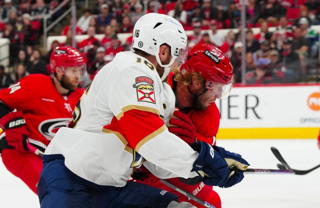 hurricanes florida panthers check