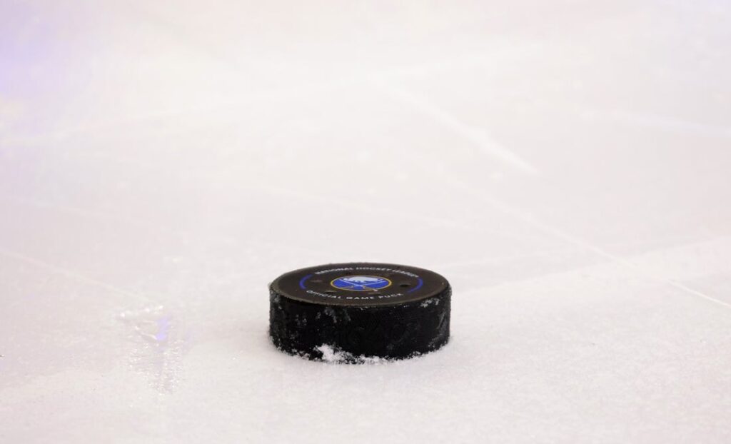 hockey puck, view