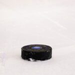 hockey puck, view