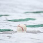 fenway park tarp