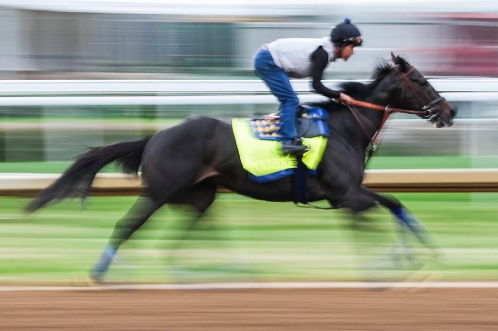 bob baffert rodriguez