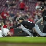 Reds White Sox