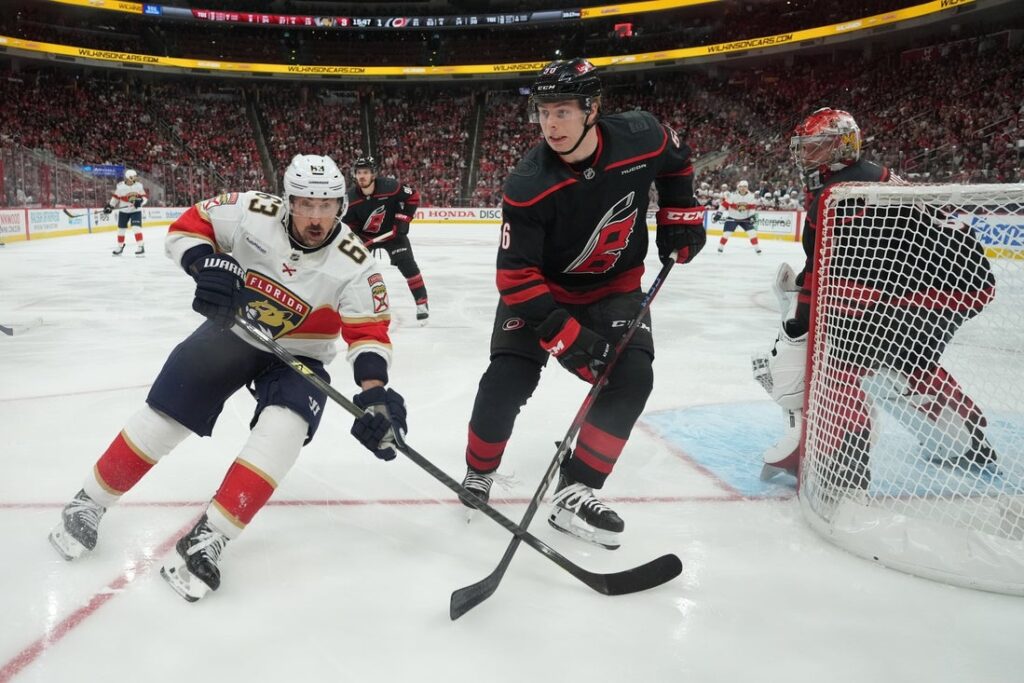 florida panthers