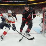 florida panthers