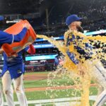 Toronto blue jays