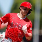 Los Angeles Angels