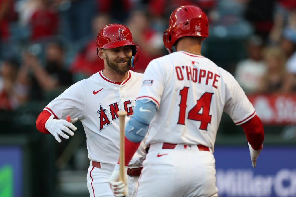 Marlins, Angels
