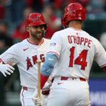 Marlins, Angels