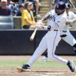 tampa bay rays