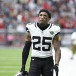 Ronald Darby