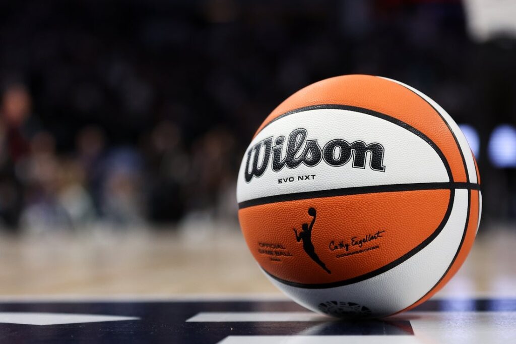 wnba ball view