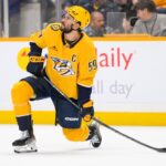 roman josi