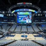 minnesota timberwolves view