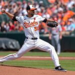 Morton orioles