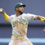 Miguel Andujar