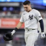 yankees volpe